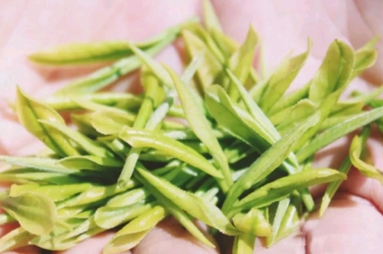 龍井是明前的好還是雨前的好，明前茶和雨前茶哪個(gè)好喝？