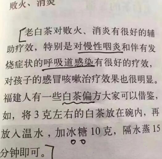 老白茶上火還是去火？夏季喝煮的老白茶會容易上火！