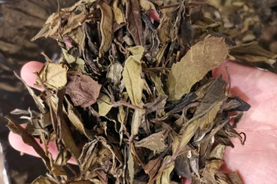 新舊白茶怎么區(qū)分，怎么分辨白茶是新還是舊
