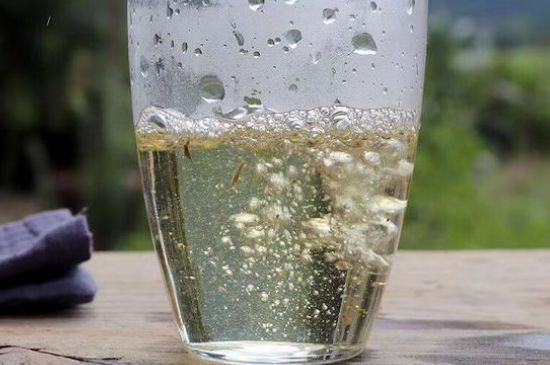 三年白茶賽砒霜，這是真的嗎？