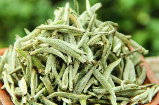 白毫銀針年份越久越好嗎，銀針白毫是否越陳越好