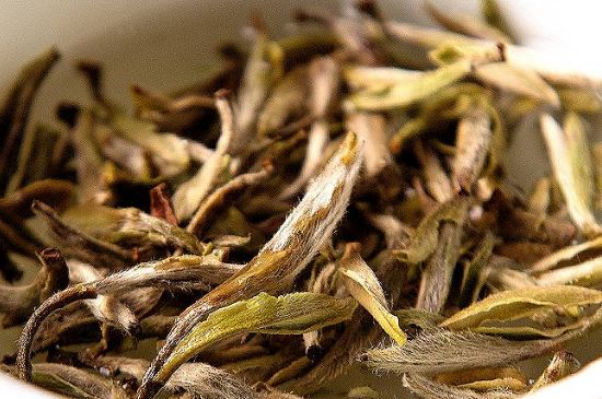 荒野銀針市場價多少，真正的荒野白毫銀針多少錢？