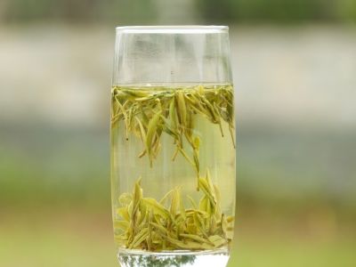 霍山黃芽算是好茶嗎，霍山黃芽屬于什么茶？
