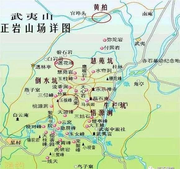 300塊錢的金駿眉能喝嗎，兩三百多金駿眉和一千多區(qū)別