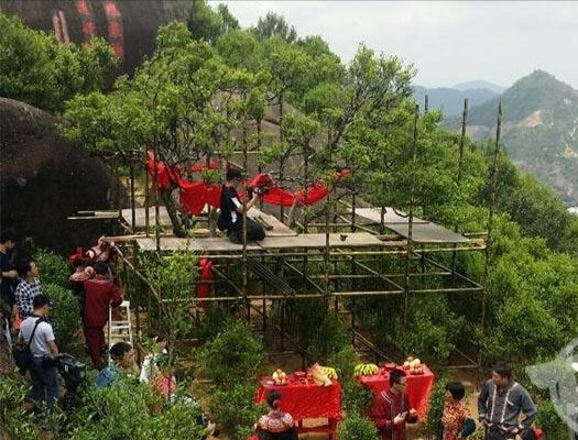 宋種一號價值為什么高，鳳凰單樅宋種1號價格與產(chǎn)量多少？