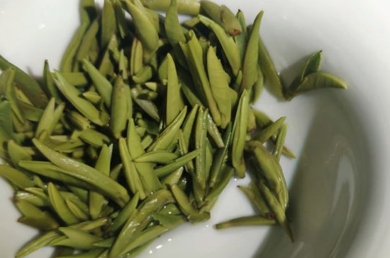 竹葉青茶怎么泡，竹葉青如何沖泡