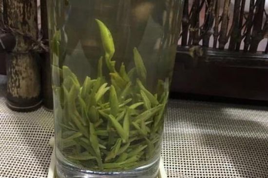 金壇雀舌什么檔次，金壇雀舌算不算好茶？