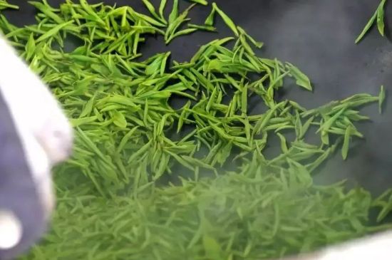 碧螺春為什么泡水渾濁，碧螺春茶葉泡水感覺很臟是混濁的