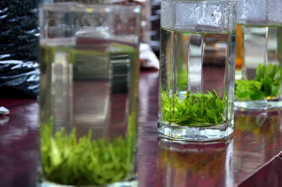 綠茶放了三年還能喝嗎，綠茶放久了喝了會怎樣