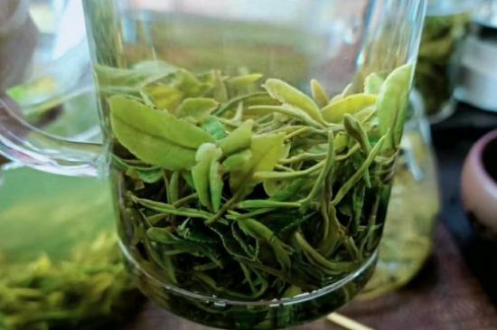 什么綠茶味道濃香，那個(gè)綠茶比較濃香？
