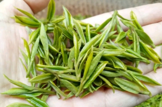 什么是雪前龍井茶，明前、雨前、雨后龍井有什么區(qū)別？