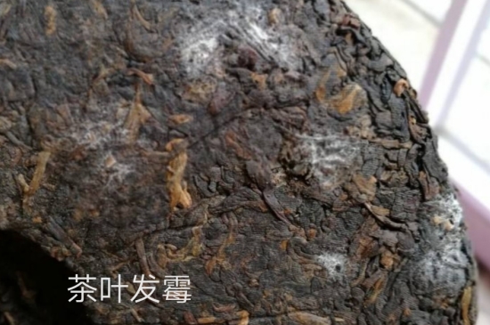 西湖龍井茶毫和發(fā)霉區(qū)別圖片，長霉的龍井茶葉會是什么樣？