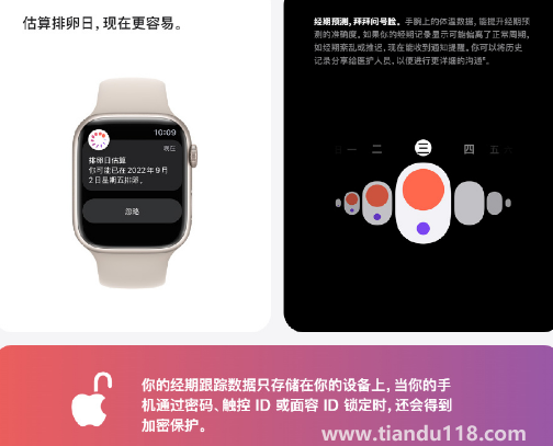 蘋果手表可精準(zhǔn)預(yù)測女性排卵期是哪個型號3