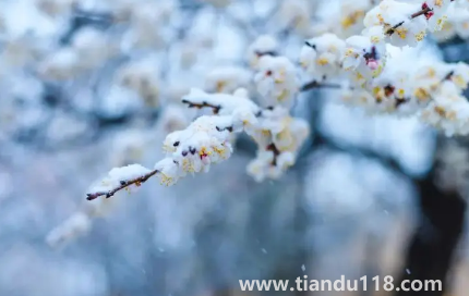 2022年11月份節(jié)氣到小雪是什么天氣1