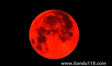 11月8日月全食每個地方都能見到嗎1